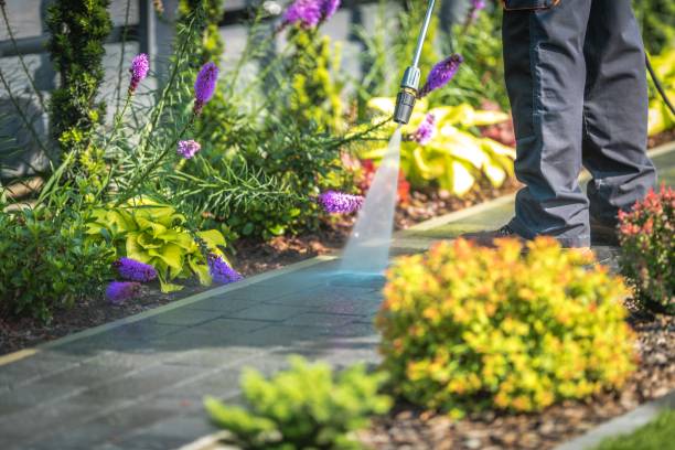 Trusted Mineville, NY Pressure Washing Services Experts